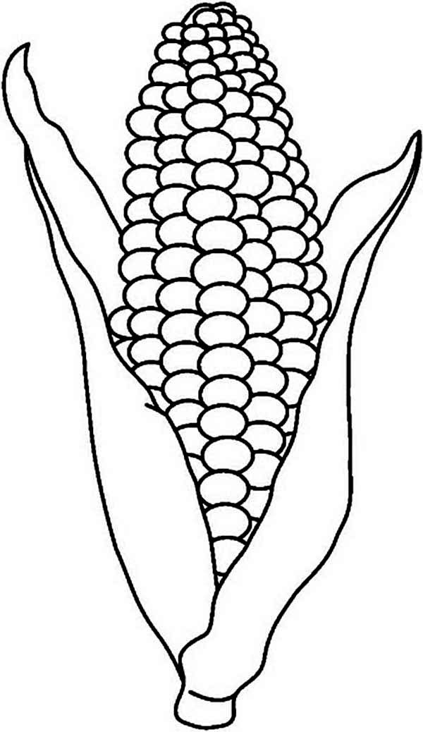 Indian Corn Coloring Page Coloring Home