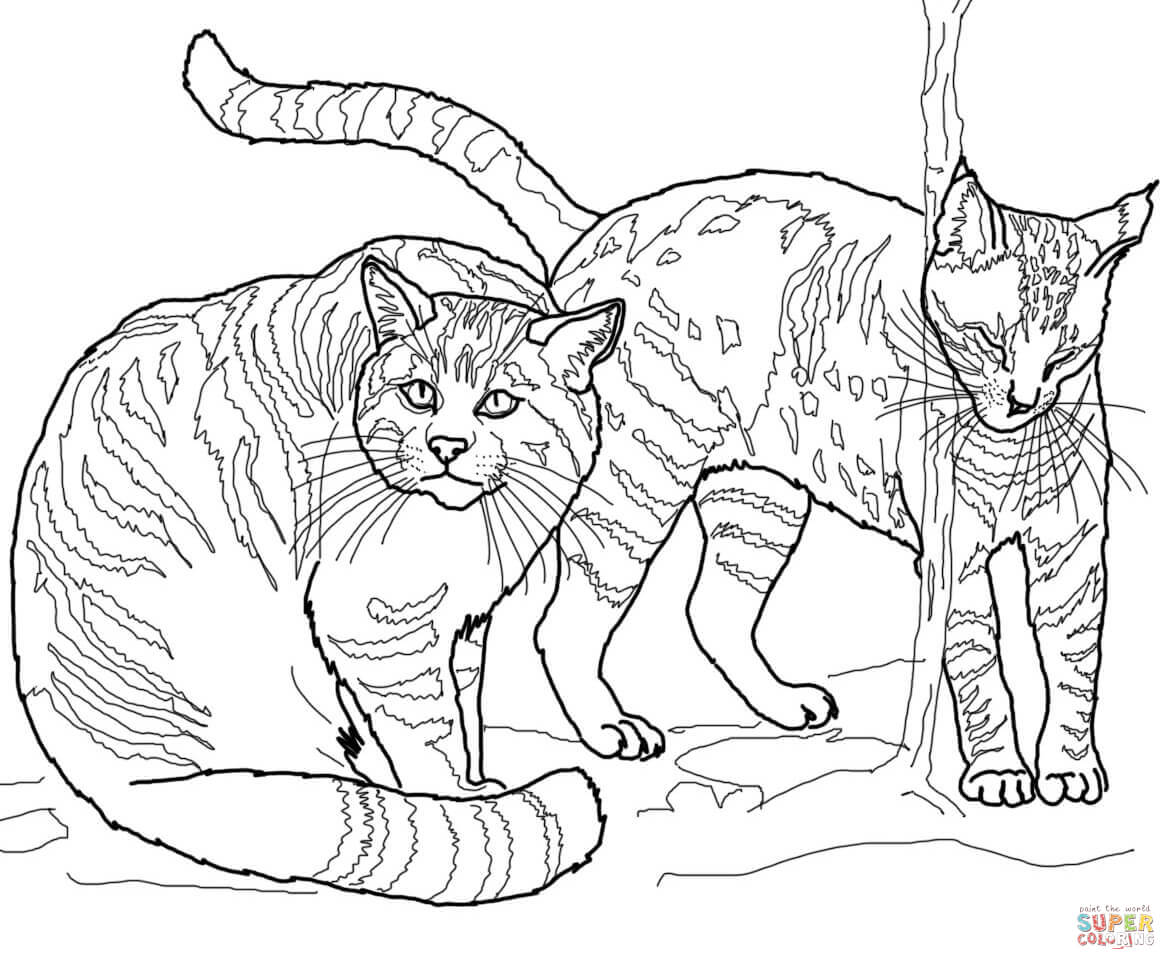 Wildcat coloring pages | Free Coloring Pages