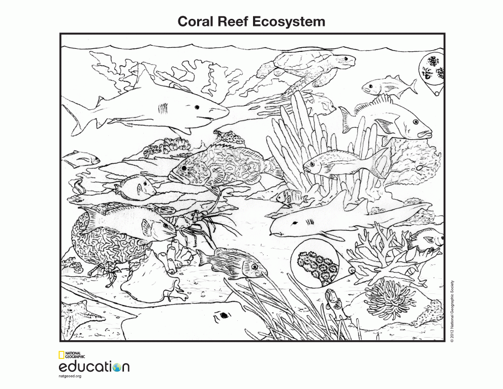 free-biome-coloring-pages-coloring-home