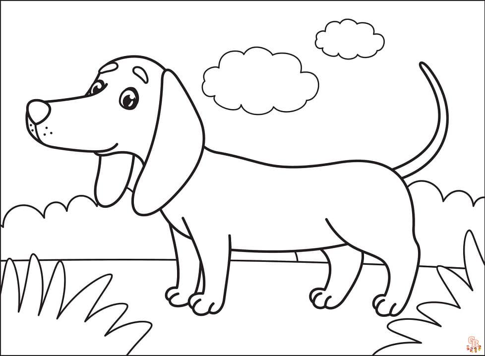 Discover Smiling Dachshund Coloring Pages for Free | GBcoloring