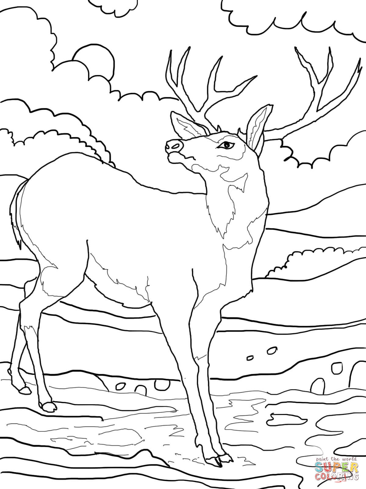 Coloring Pages | Mule Deer, Rocky Mountains and Elk