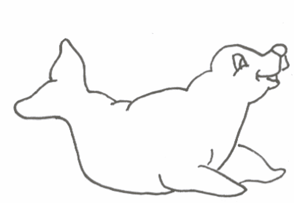 Baby Seal Coloring Pages Home Cute Pups Drawings Pinterest