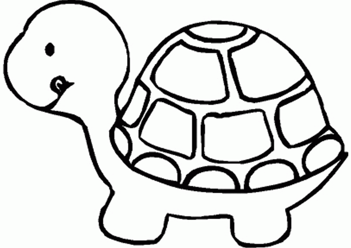 Turtles With Hard Shell Round Coloring Pages For Kids #f63 ...