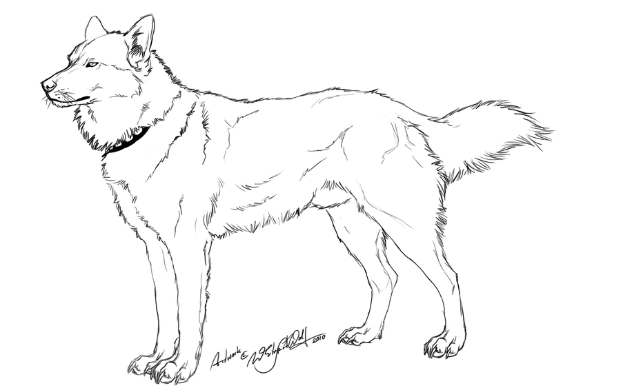 12 Pics of Realistic Husky Coloring Pages - Siberian Husky ...