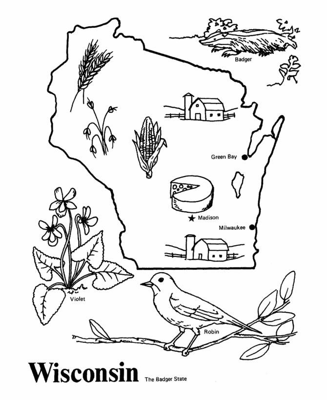 10 Pics of Wisconsin State Bird Coloring Page - Wisconsin State ...