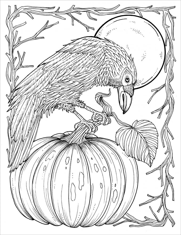 Crow Coloring Page for Adult - ColoringBay