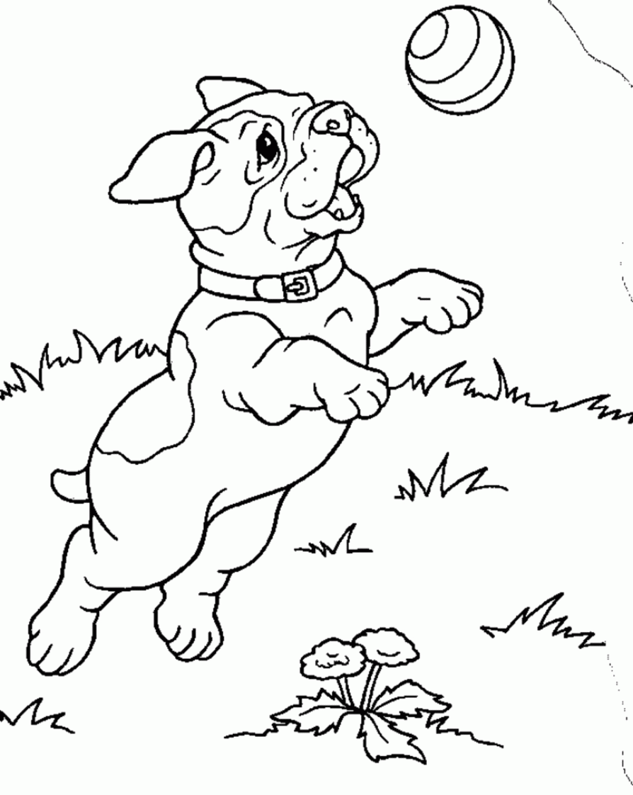 Puppy To Print Out - Coloring Pages for Kids and for Adults