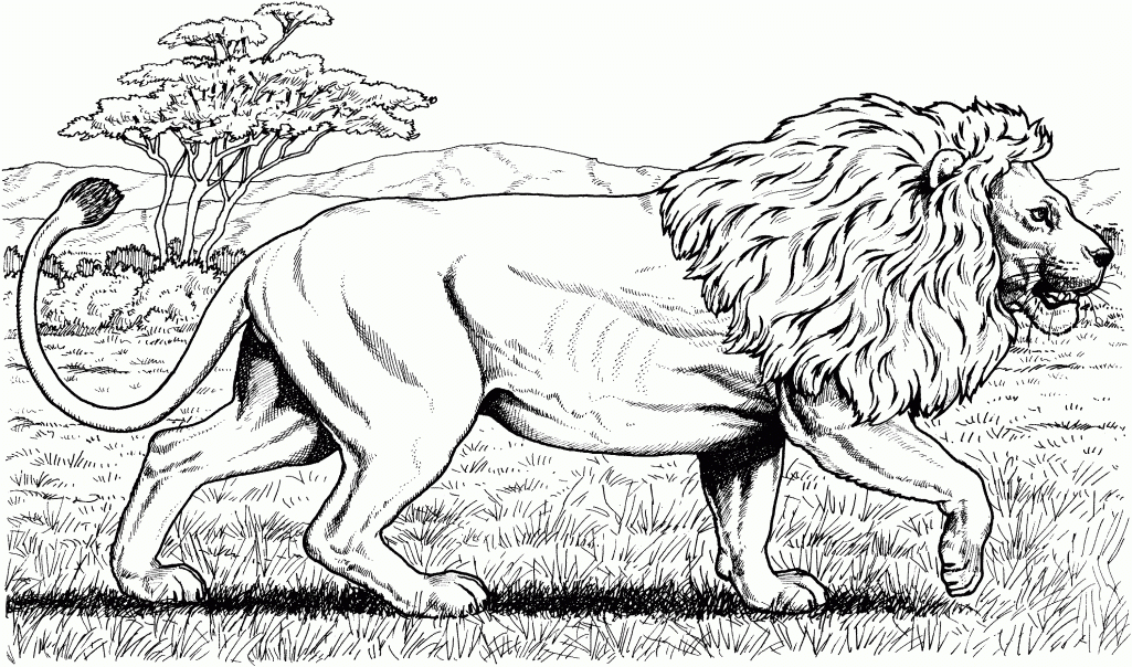 Amazing Realistic Jungle Animal Coloring Pages Realistic Coloring