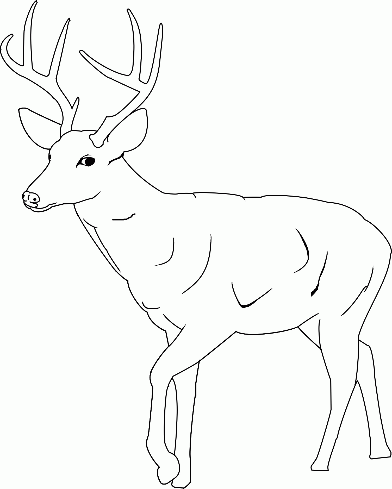 Deer Coloring Pages Printable for Pinterest