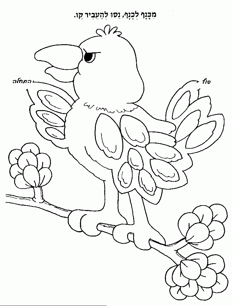 liger coloring pages - photo #30