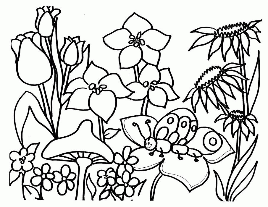 444 Simple Nature Coloring Pages To Print for Adult