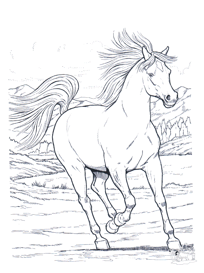 670 Cartoon Breyer Horse Coloring Pages with disney character