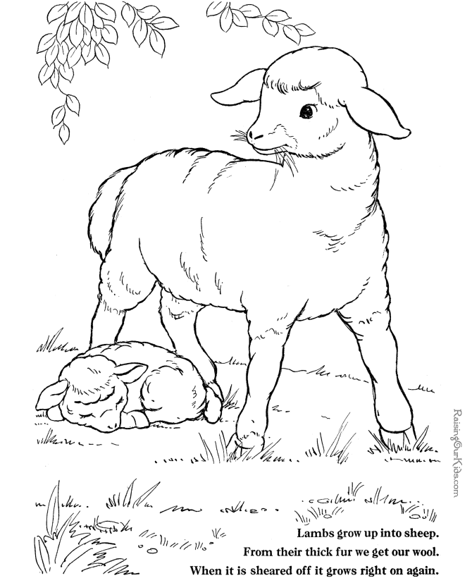 Farm Animals Coloring Pages For Kids - Coloring Home