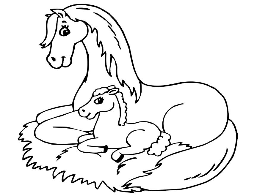 baby horse Colouring Pages (page 2)