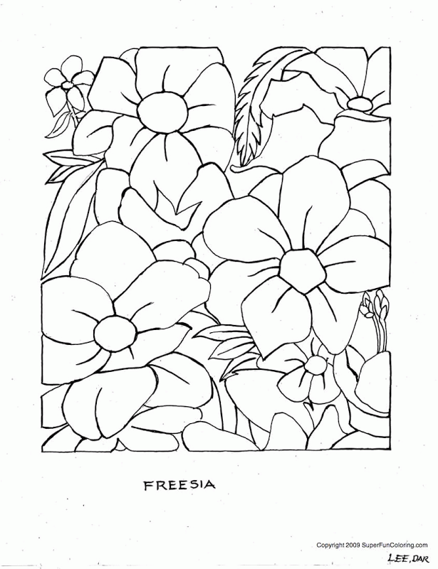 How A Flower Grows Coloring Pages | Top Coloring Pages