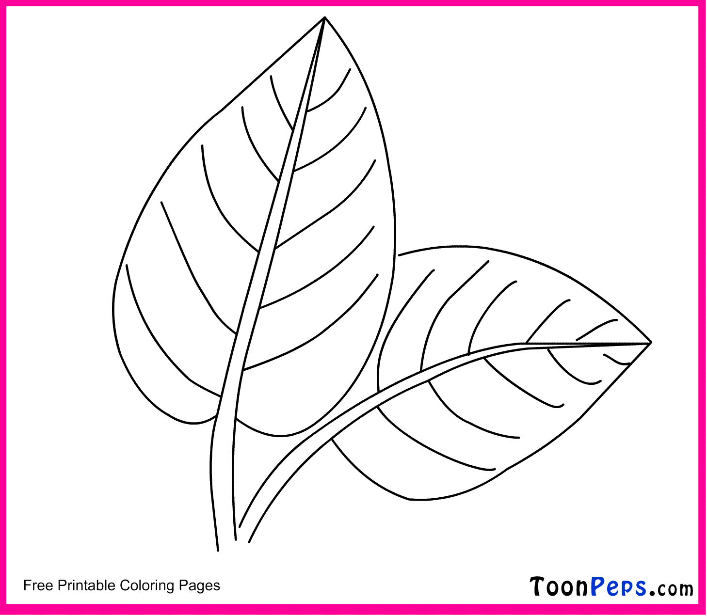 Leaf Coloring Pages For Kids