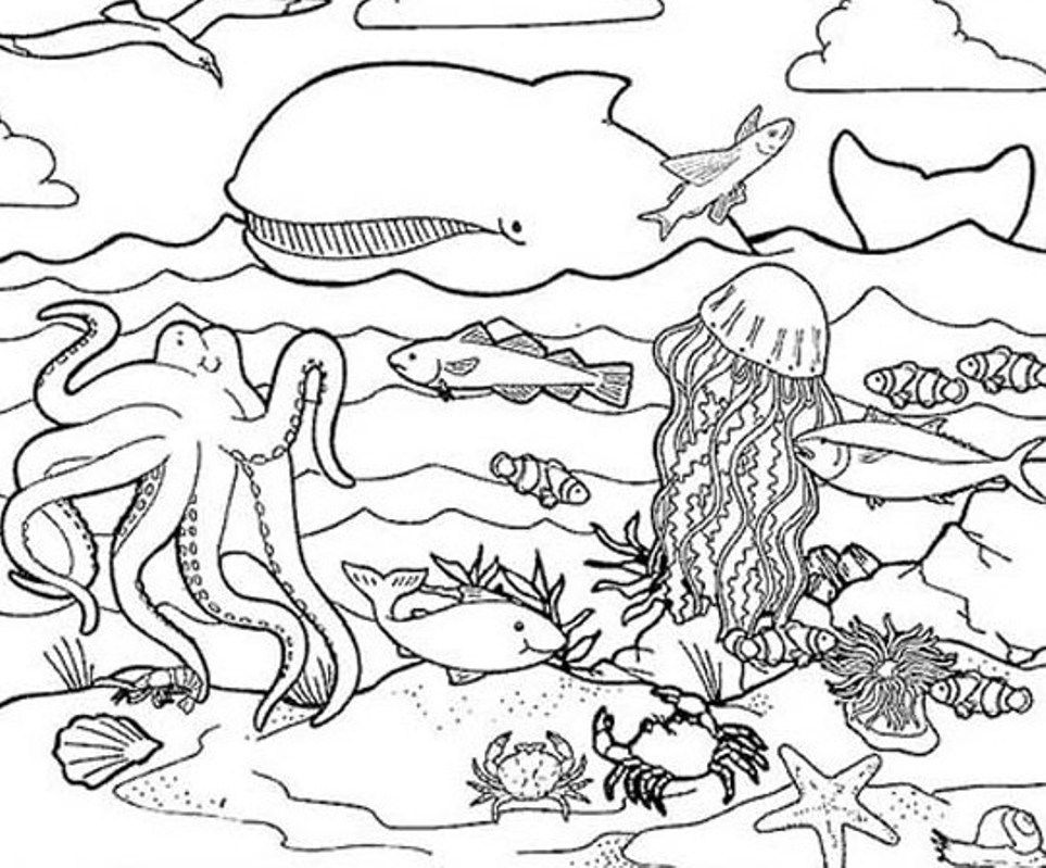 Sea Animals Coloring Pages - Coloring Home