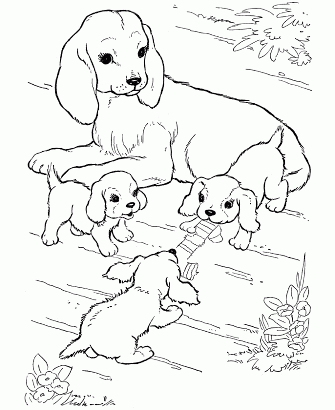 coloring-pages-of-puppies-and-kittens-coloring-home
