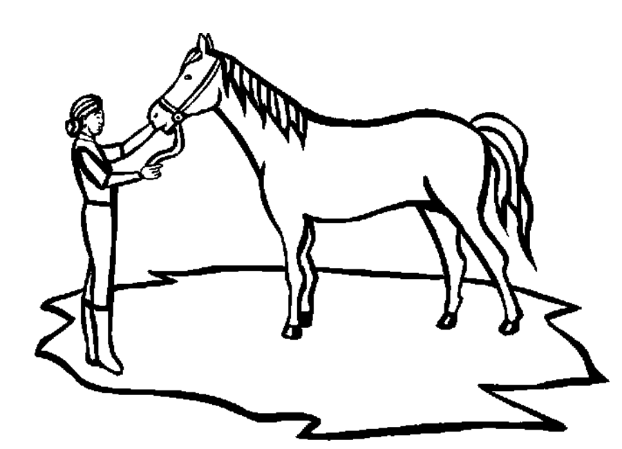 Horse Coloring Sheet - Homeschool Helper