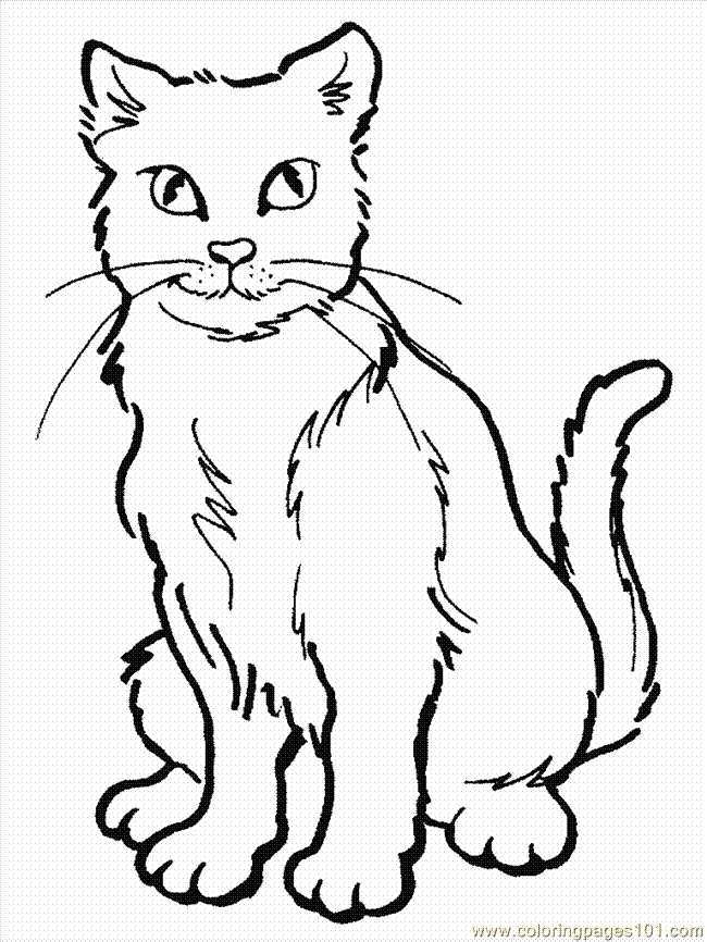 Coloring Pages Cat1 (17) (Mammals > Cats) - free printable 