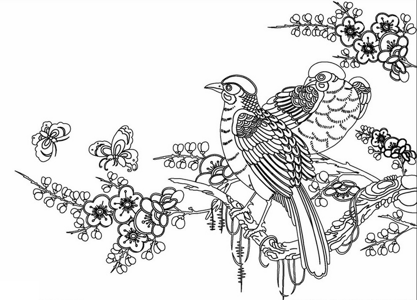 Flowers Coloring Pages For Adults - Coloring Home