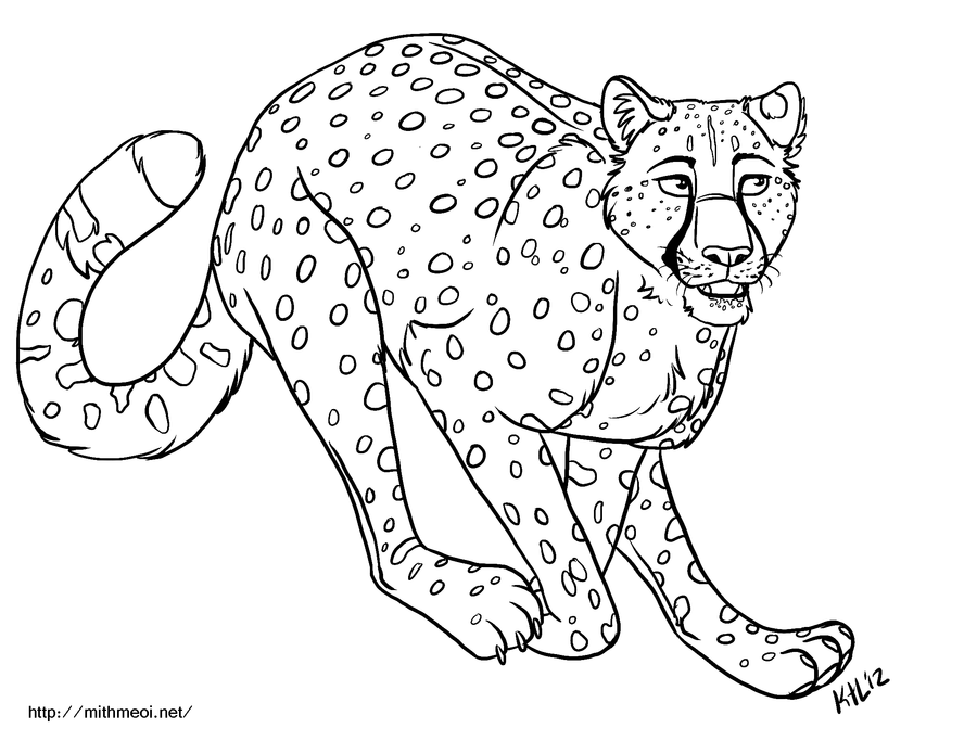 Cheetah Line Art by Greykitty on deviantART