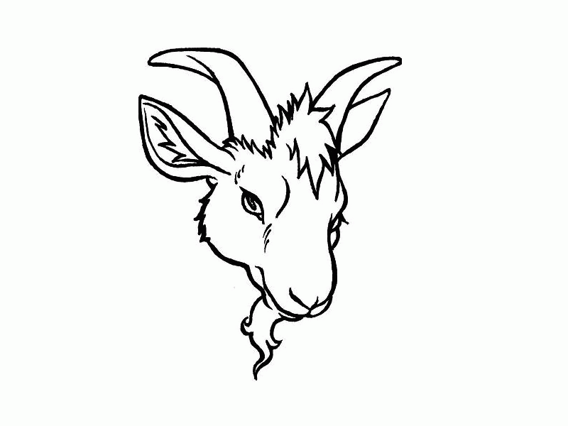Goat Tattoos : Page 66