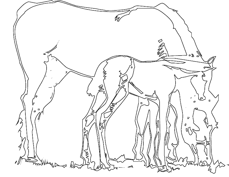 Free Horse Coloring Pages | Printable Coloring Pages