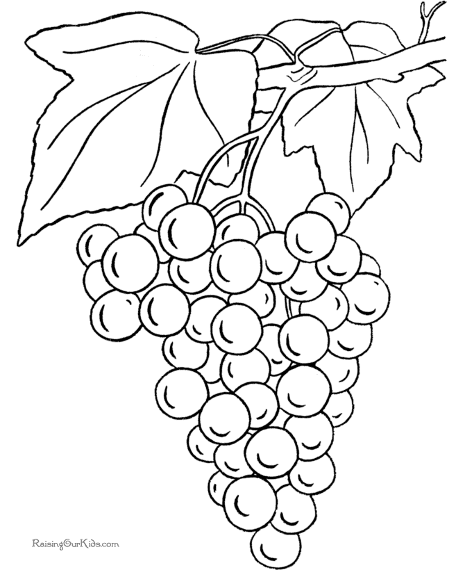 Grapes coloring page to print and color | fruit