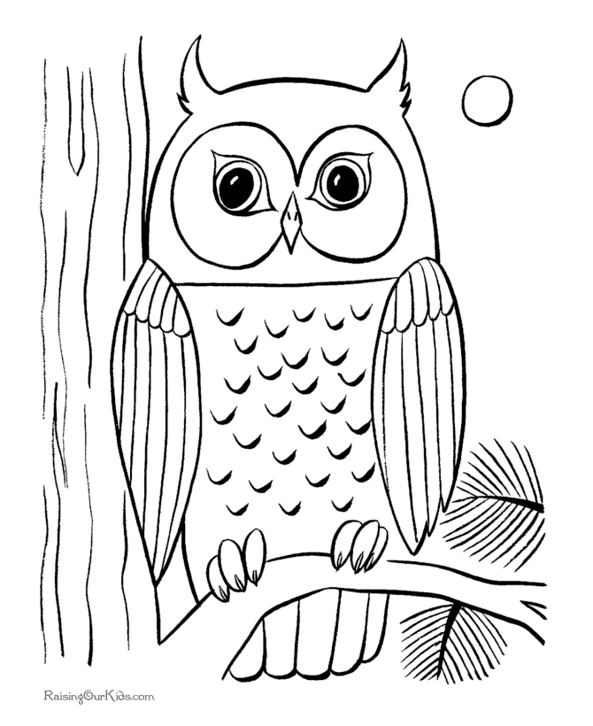 Free printable owl coloring pages | Coloring pages