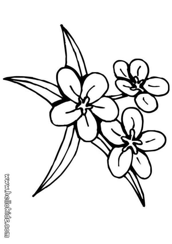coloring pages of flowers and hearts ~ studentdrivers