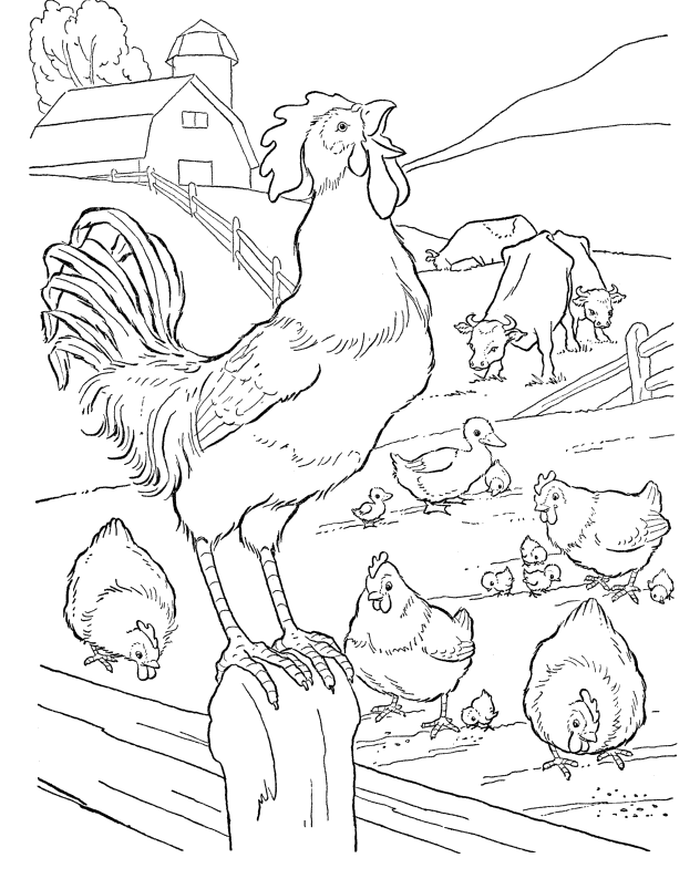Various Farm Animals Coloring Pages - Farmer's Day Coloring Pages 