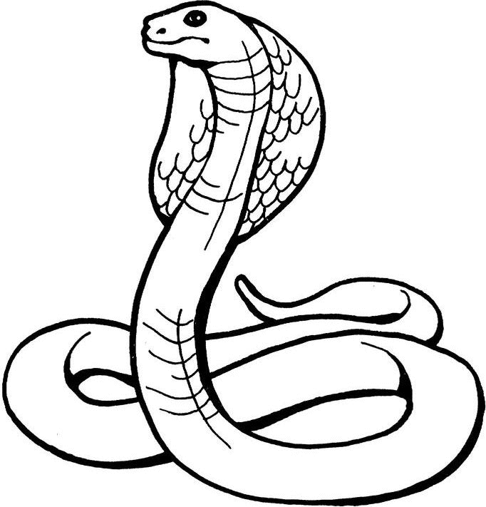 Snake Coloring Pages (11) | Coloring Kids