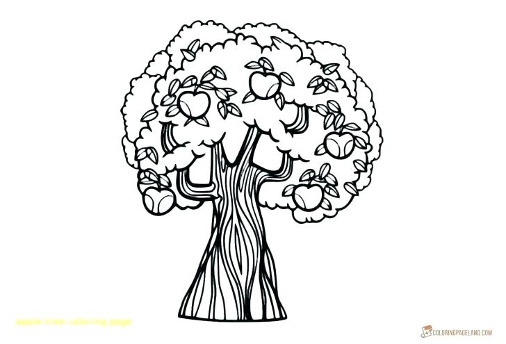 Tree Coloring Pages Free Printable at GetDrawings | Free download