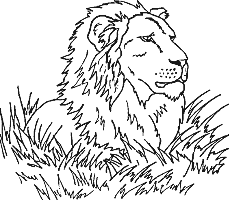 grassland animals coloring pages - Clip ...clipart-library.com