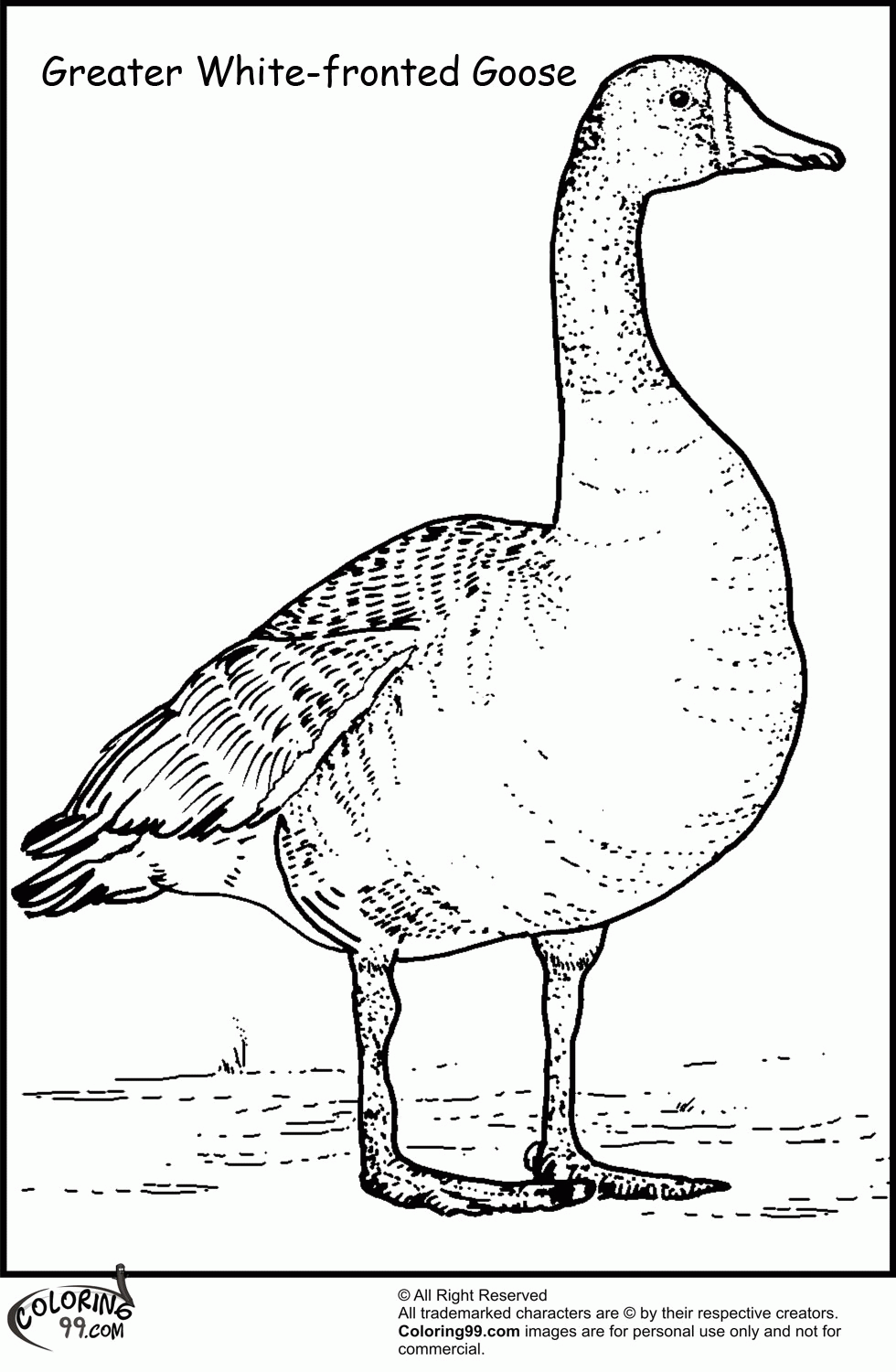 baby-goose-coloring-page-coloring-home