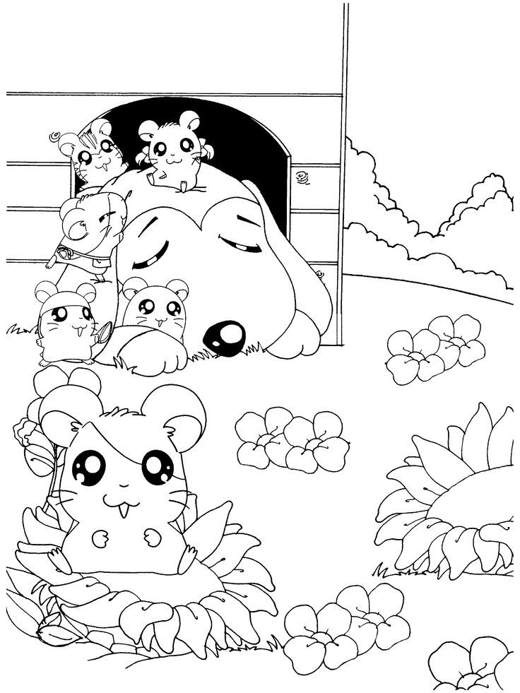Hamtaro coloring pages | Hamtaro Coloring Pages | Pinterest ...