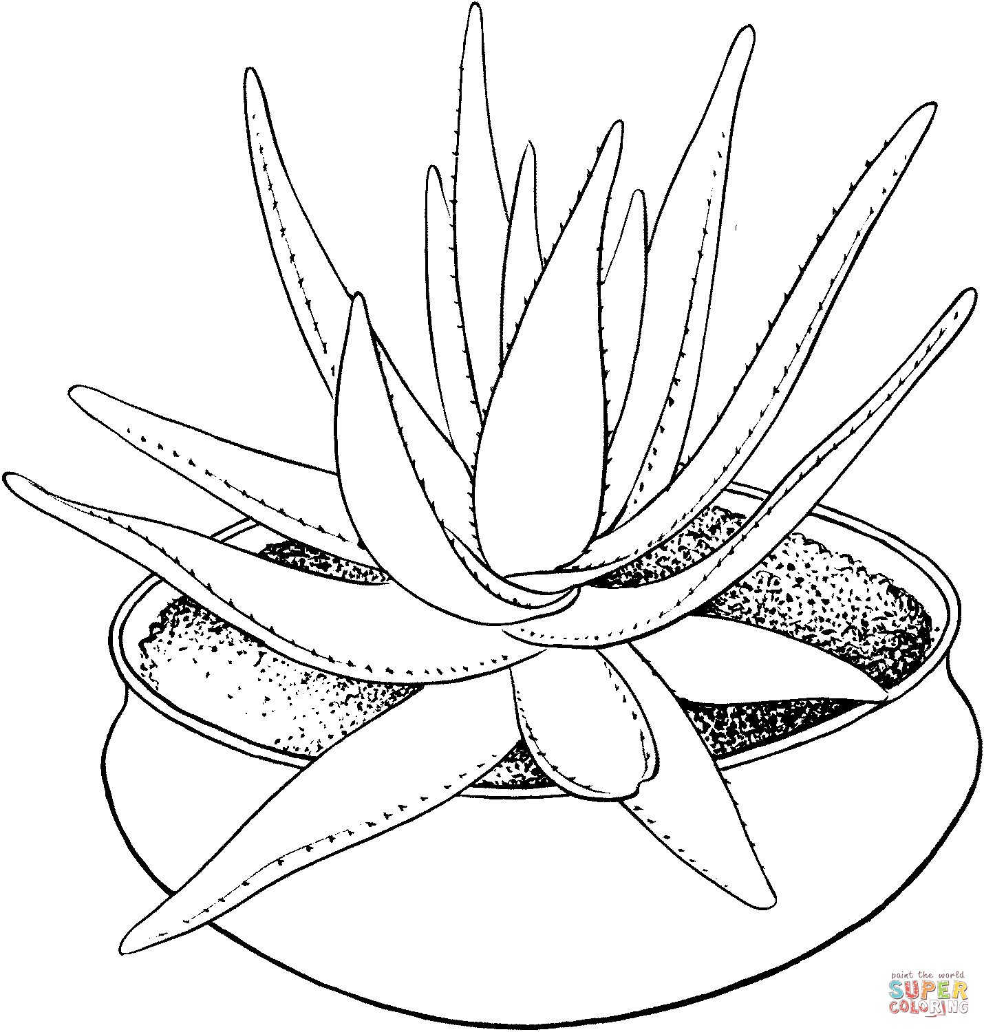 Bamboo houseplant coloring page | Free Printable Coloring Pages