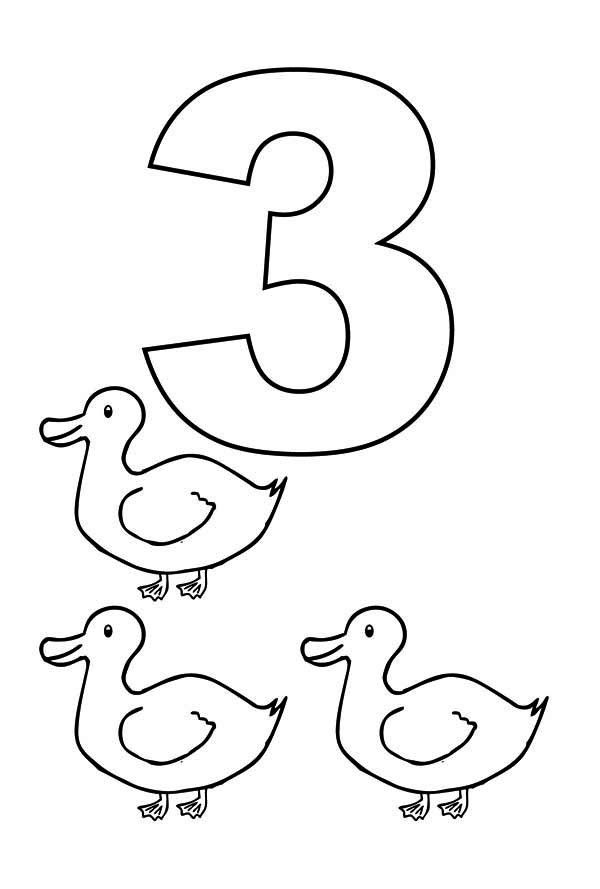Learn Number 3 with Three Ducks Coloring Page | Bulk Color