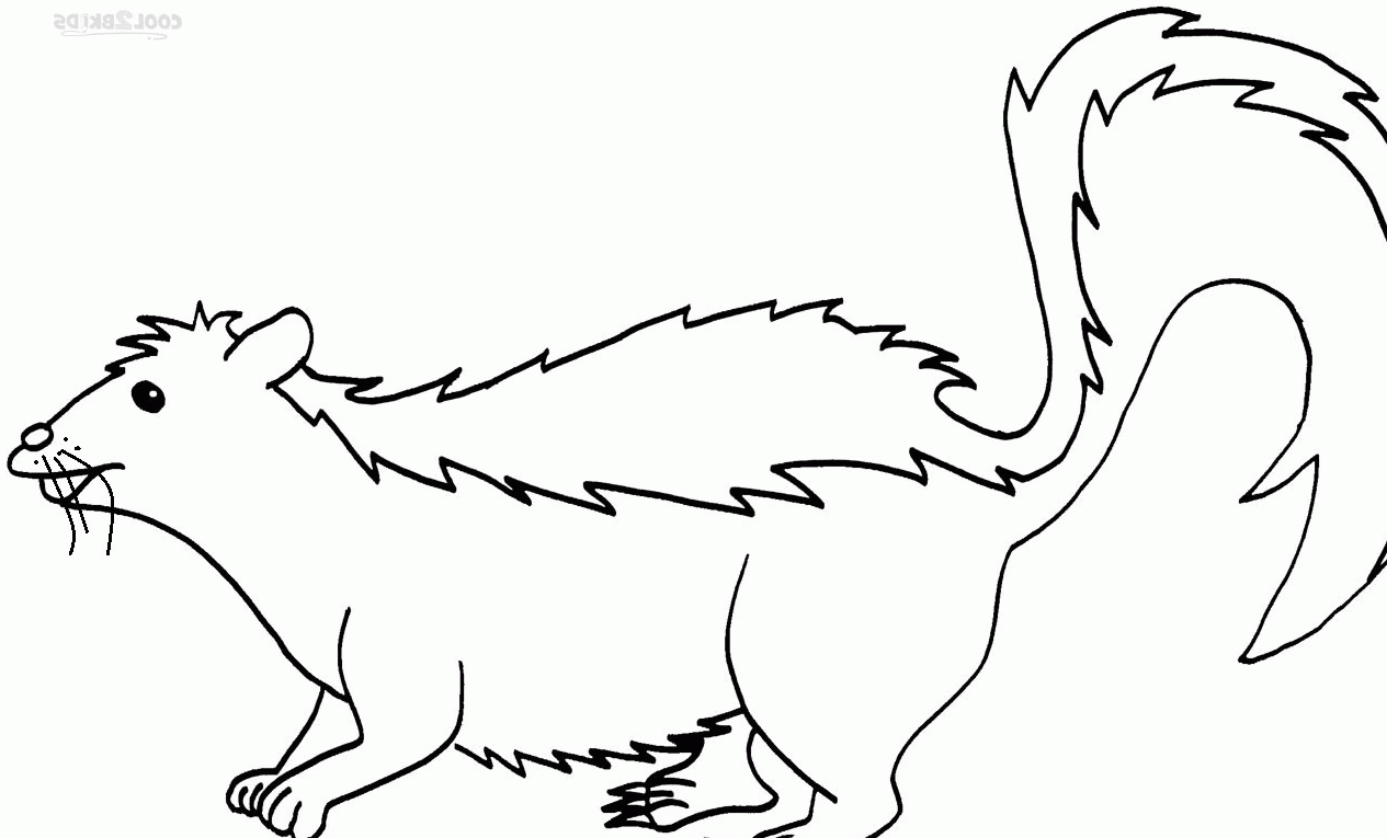 Realistic Skunk Coloring Pages Skunk Coloring Flower The Skunk ...