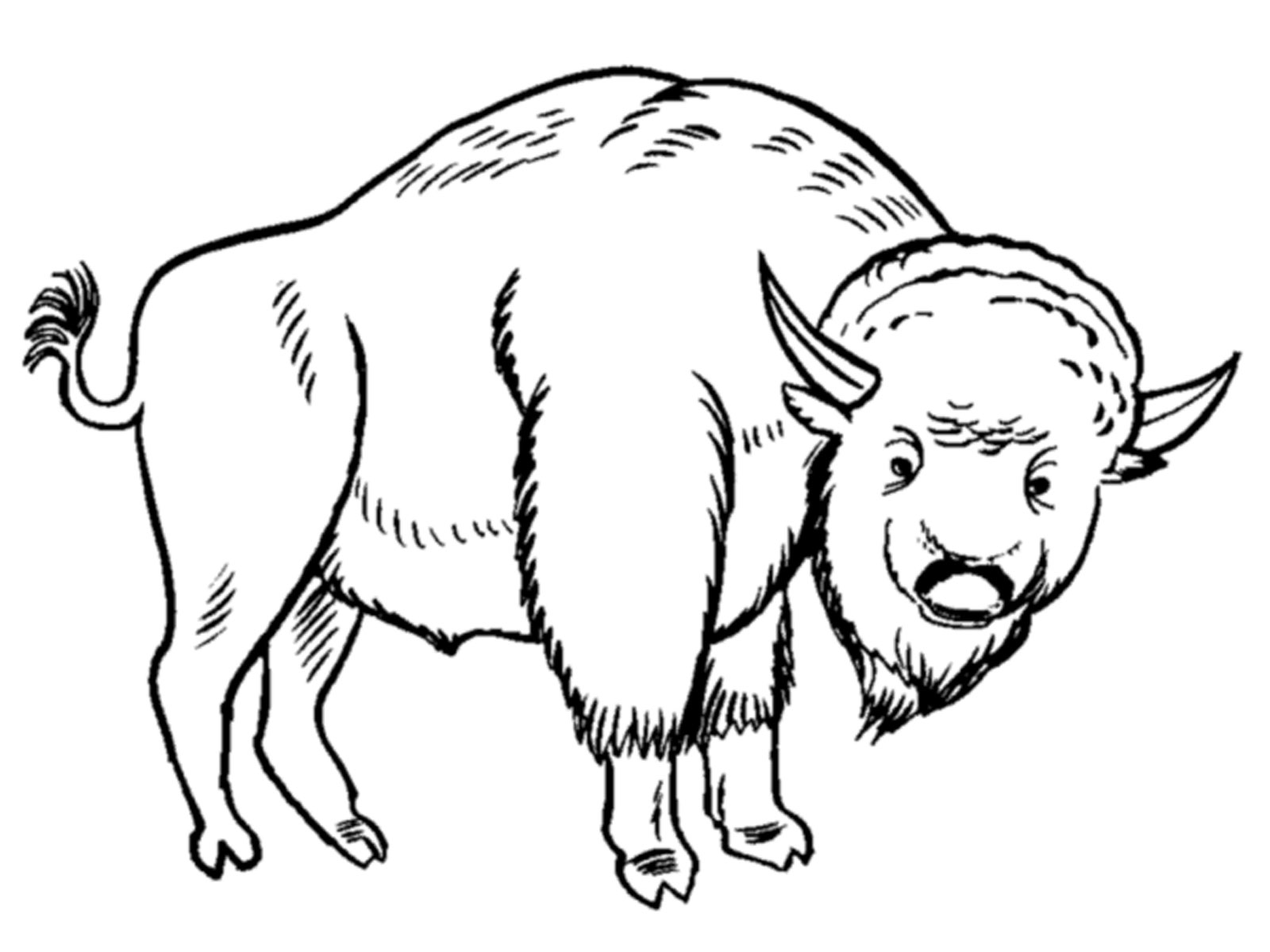 Free Printable Bison Coloring Pages For ...bestcoloringpagesforkids.com