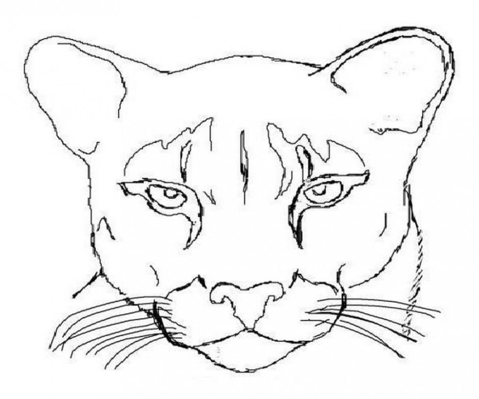 Cute Mountain Lion Coloring Pages 