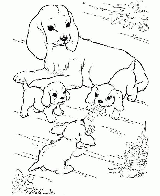 Realistic Dogs Coloring Page