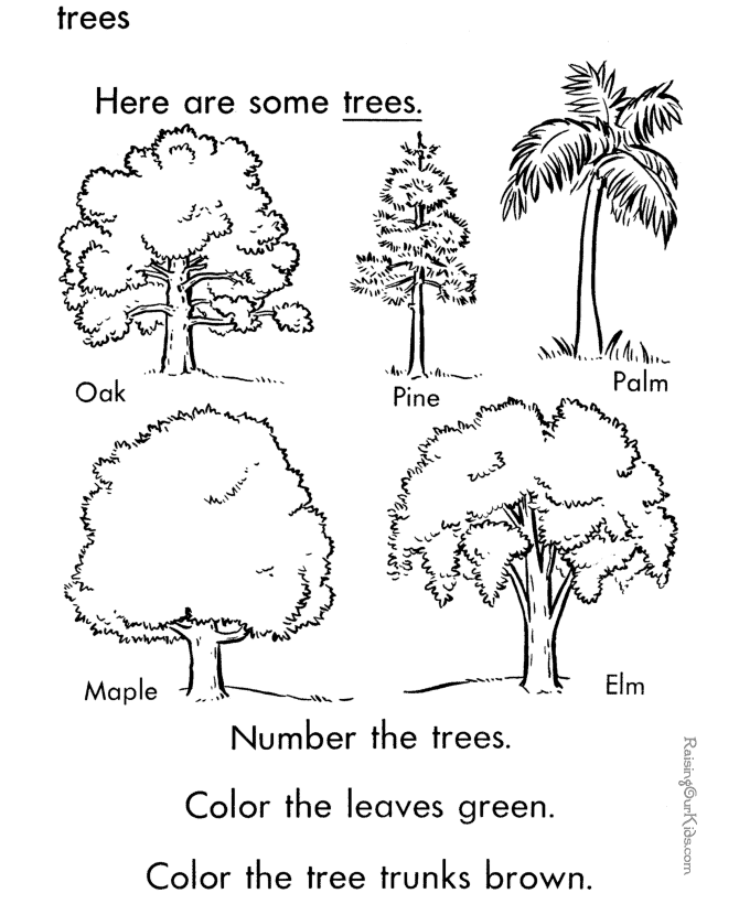 Tree and Leaf Coloring Sheets!