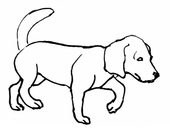 gambar-dog-coloring-pages-home-realistic-dogs-printable-di-rebanas