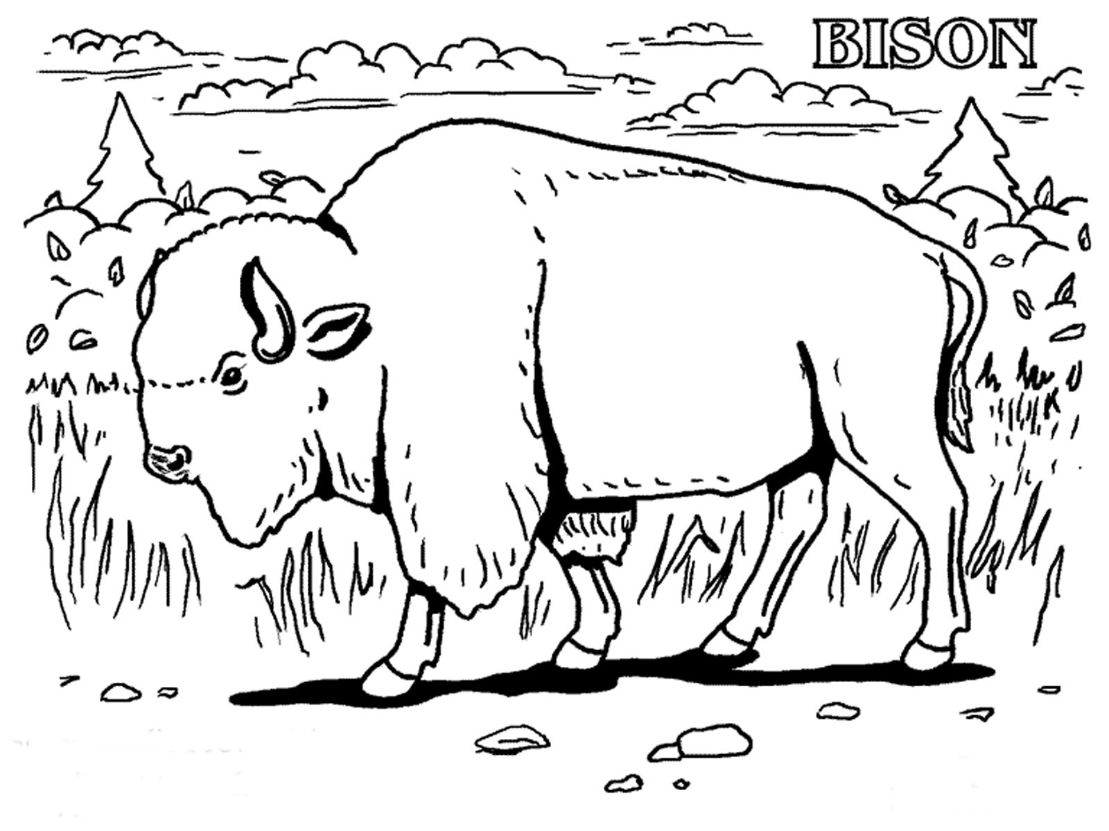 Gallery of Grassland Animals Coloring Page