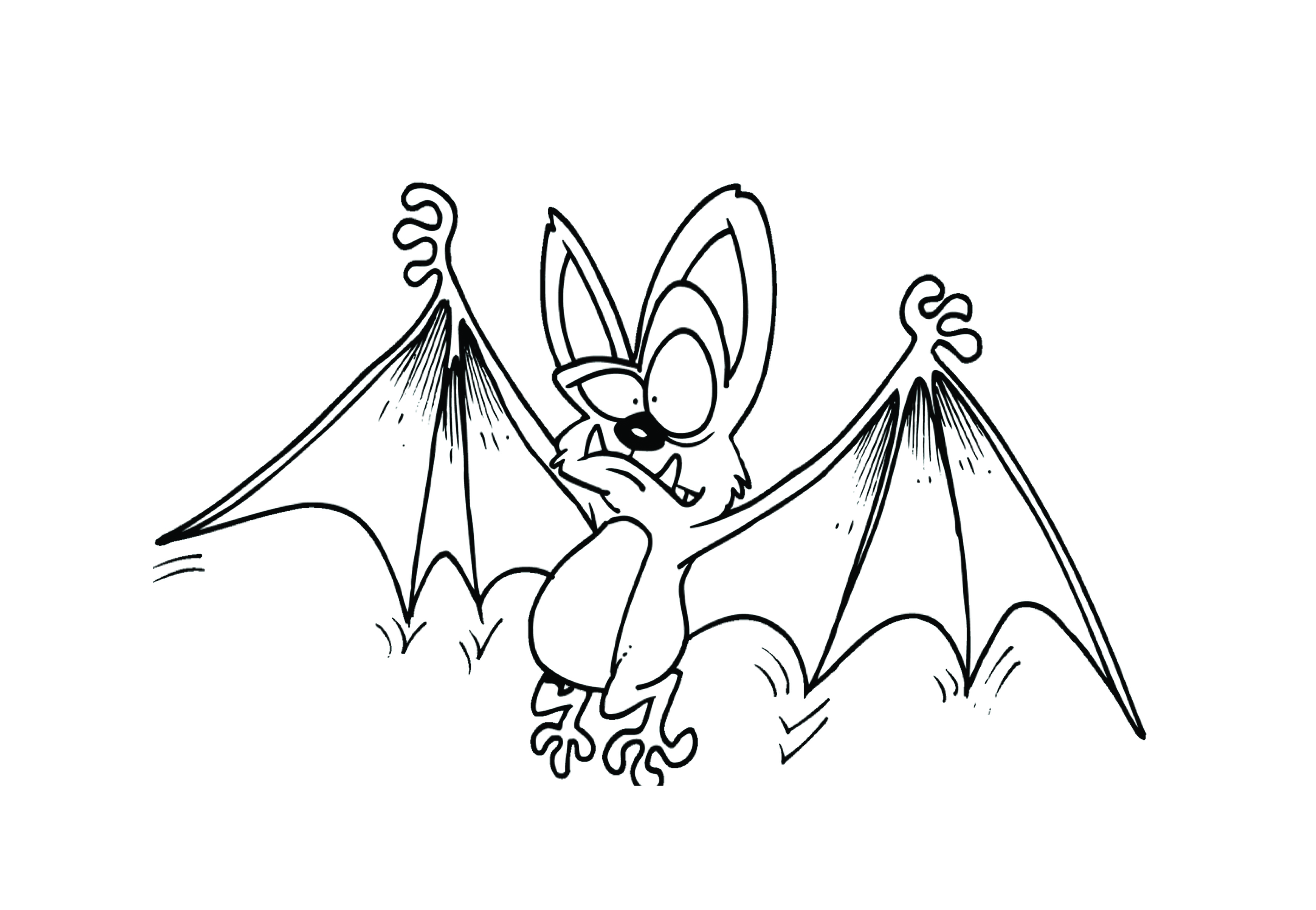 Bat Coloring Page Wings