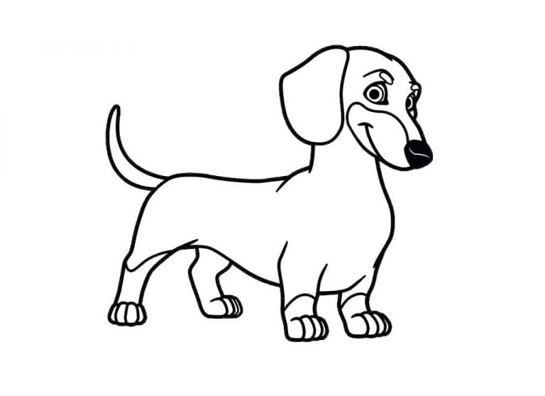 Dachshund Coloring Pages - Free Printable Coloring Pages for Kids
