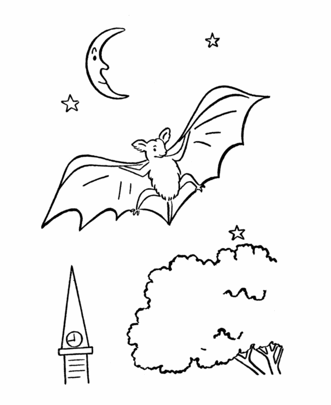 Wild animal coloring page | Bats Coloring page | 2015 NW Trek ...
