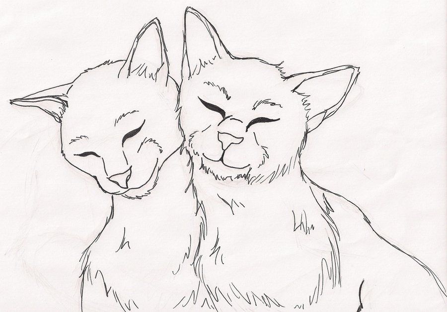 Warrior Cats Bloodclan Pages Coloring Pages